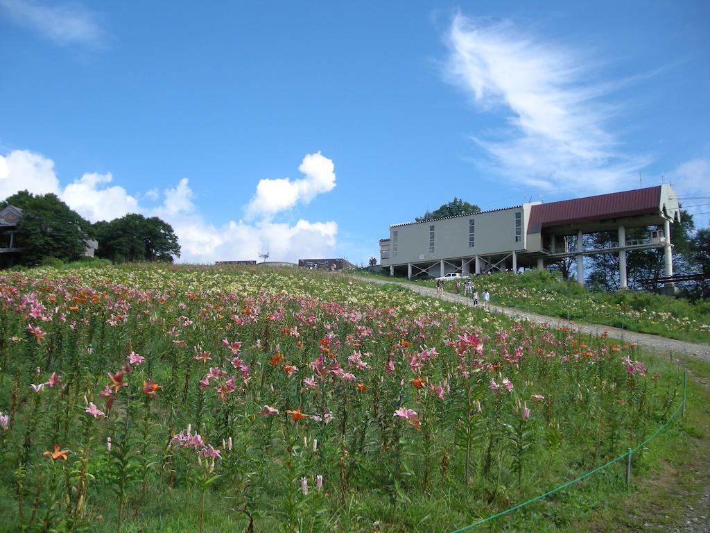 Villa Komakusa ฮาคุบะ ภายนอก รูปภาพ